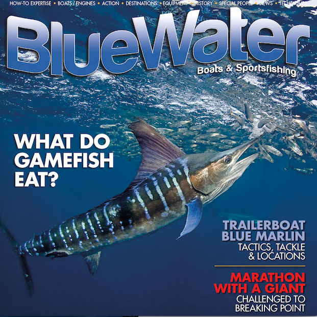BlueWater Magazine Issue #130
