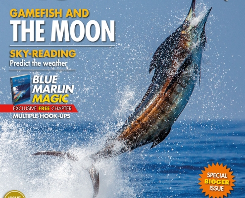 Magazines by TBF  Billfish, Sailfish and Spearfish publications - The  Billfish Foundation