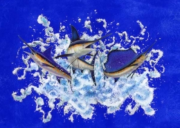 Billfish Foundation Art Of The Year Submissions