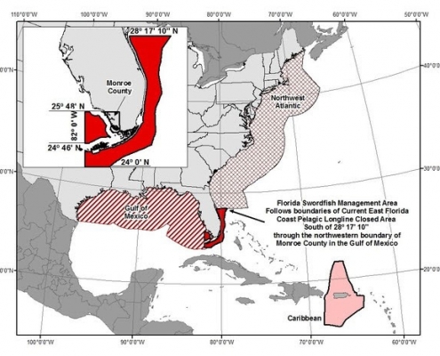 NOAA Increases Commercial Swordfish Retention | The Billfish Foundation
