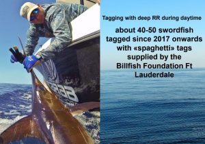 TBF Swordfish Data Represented at ICCAT Meeting | The Billfish Foundation