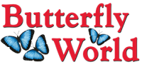 Butterfly World