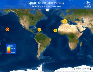 Spearfish release density map for 2020