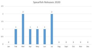 Spearfish releases month-by-month graph