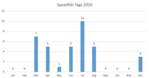 Spearfish tagging month-by-month graph