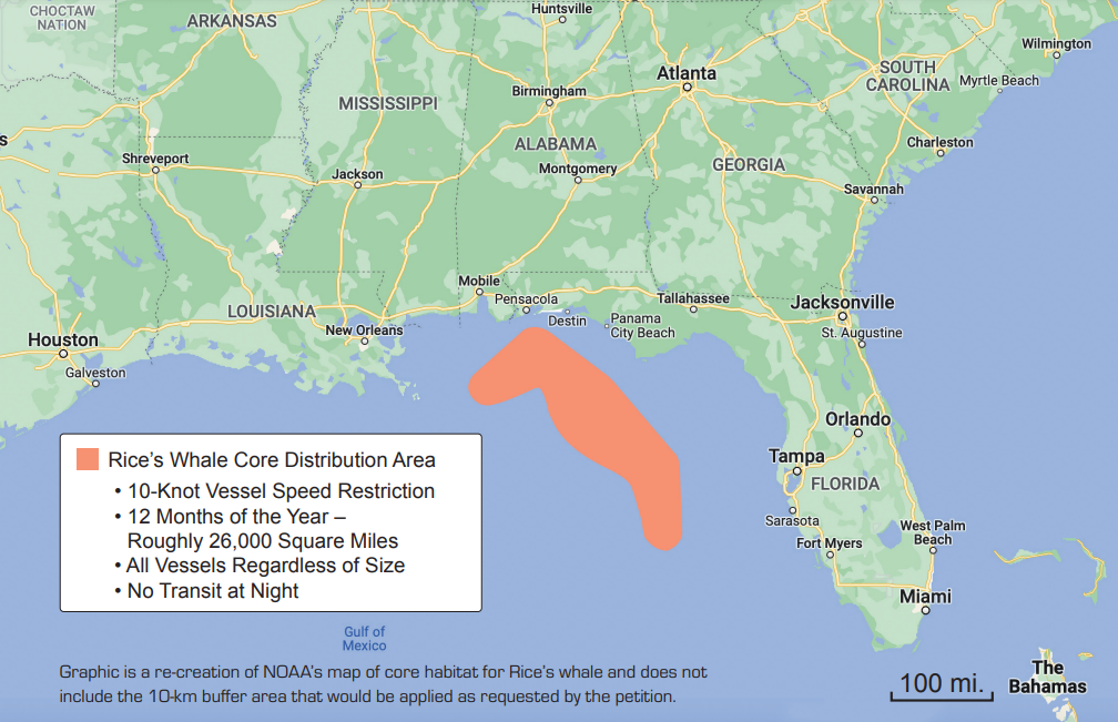 NOAA Fisheries Denies Petition to Establish a Mandatory Speed Limit in Gulf of Mexico