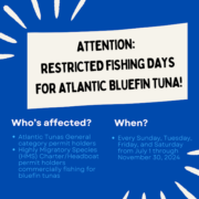 Restrictions on Bluefin Tuna