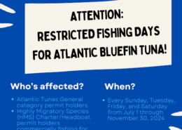 Restrictions on Bluefin Tuna