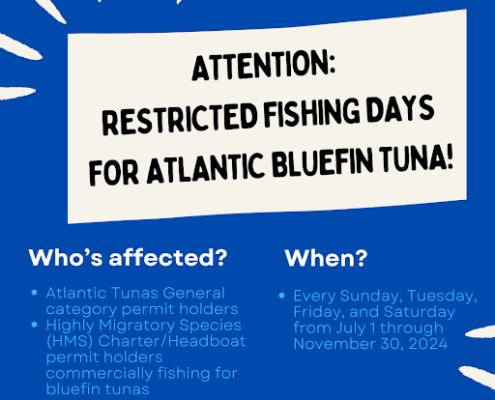 Restrictions on Bluefin Tuna